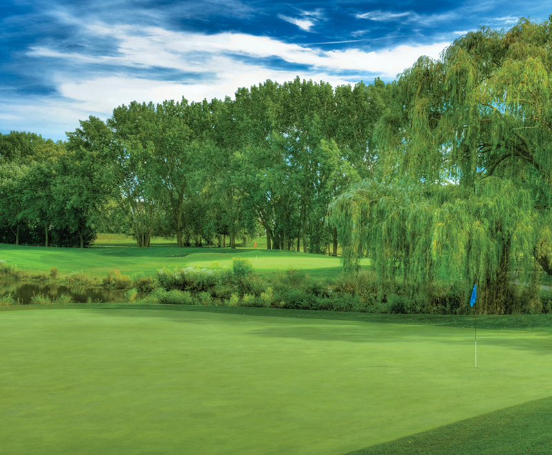 view of golf course green with trees